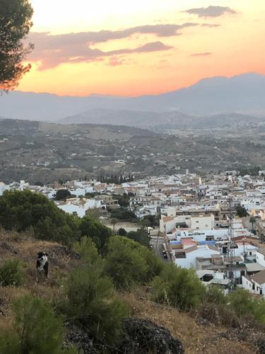 Hotel La Palmera Alhaurín el Grande Eksteriør billede